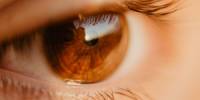 pexels-mustafa-ezz-853457 pexels-mustafa-ezz-853457